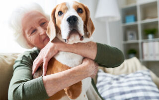 Home Care Assistance in Minnetonka MN