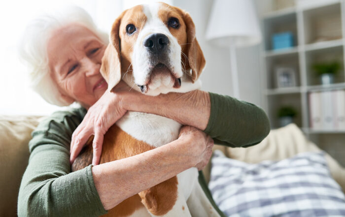 Home Care Assistance in Minnetonka MN
