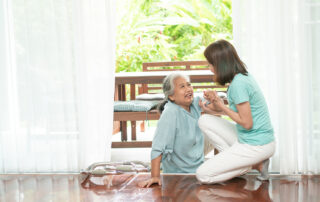 Elder Care in Minneapolis MN