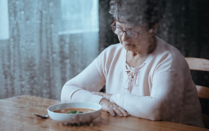 Senior Home Care St. Louis Park MN