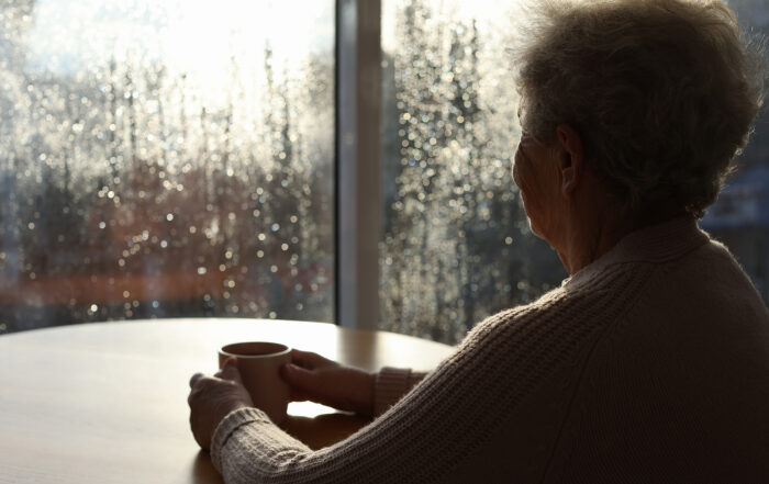 Companion Care at Home in Minneapolis MN